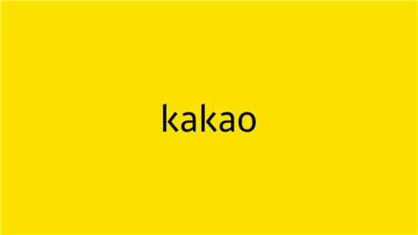 (第二LD)由于基数效应，Kakao 2022净下降38%