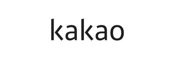 由于基数效应，Kakao第一季度净利润下降93.4%