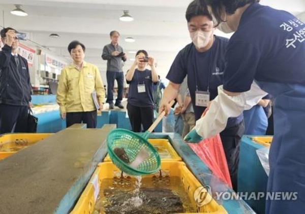 因福岛灾难，韩国对进口海产品进行严格检查