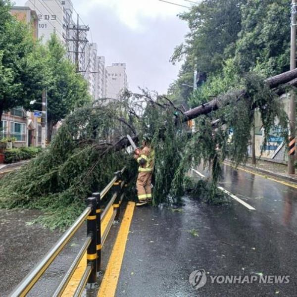 (第三LD)台风缓慢向北移动，造成洪水和风力破坏