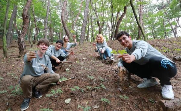 This photo was captured from the website of Hamyang Wild Ginseng Festival. (PHOTO NOT FOR SALE) (Yonhap) 