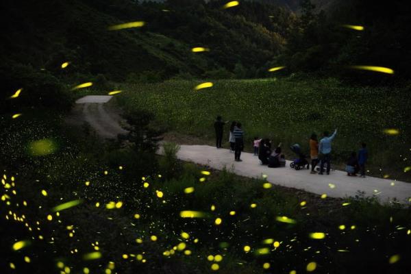 This photo was captured from the website of the Korea Tourism Organization. (PHOTO NOT FOR SALE) (Yonhap) 