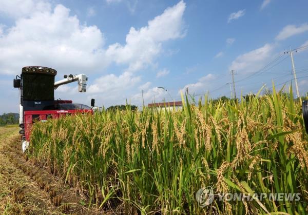 韩国的大米产量预计将在2023年下降2.1%