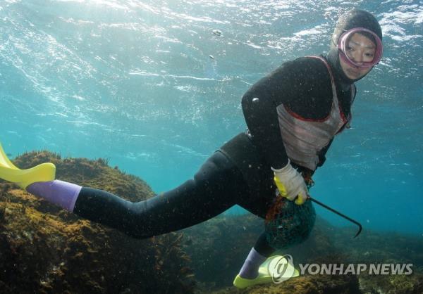 济州女潜水员“海女”被列入联合国粮农组织农业文化遗产系统