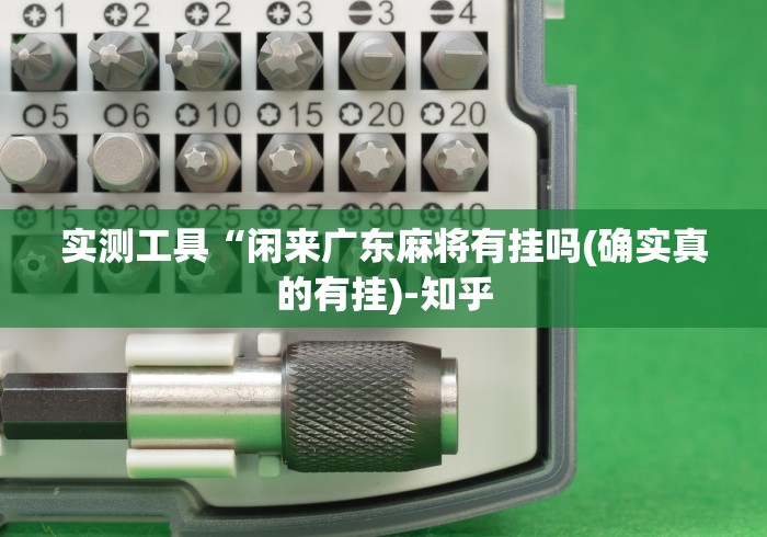 实测工具“闲来广东麻将有挂吗(确实真的有挂)-知乎