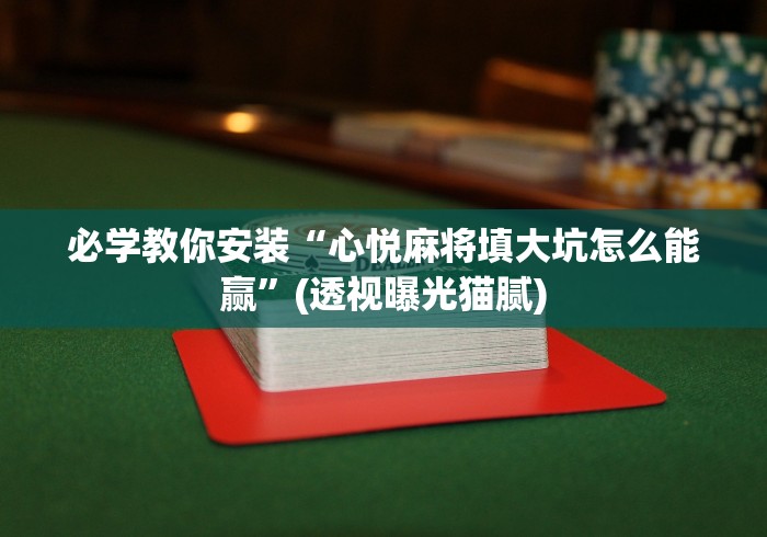 必学教你安装“心悦麻将填大坑怎么能赢”(透视曝光猫腻)