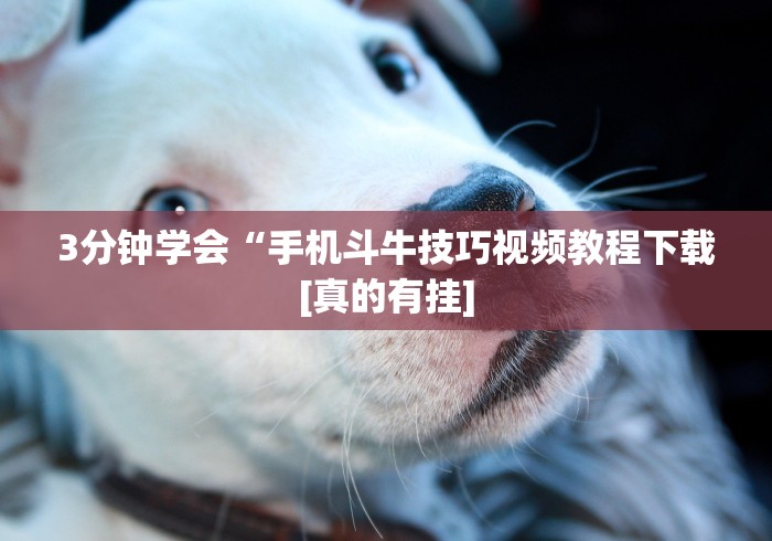 必学教你安装“微乐山西麻将开挂后特征”-玩家曝光开挂流程