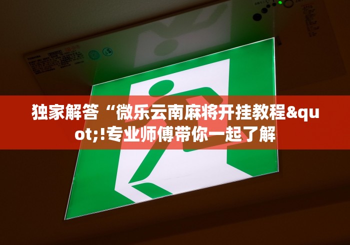 独家解答“微乐云南麻将开挂教程"!专业师傅带你一起了解