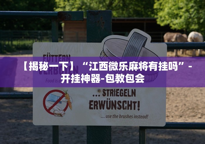 【揭秘一下】“江西微乐麻将有挂吗”-开挂神器-包教包会