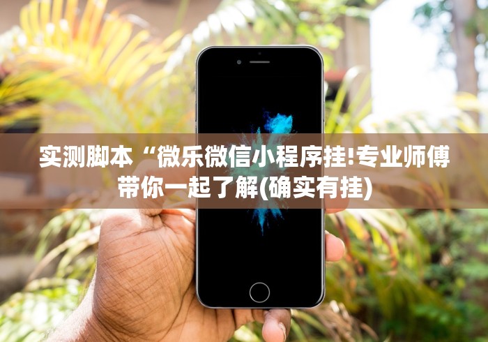 实测脚本“微乐微信小程序挂!专业师傅带你一起了解(确实有挂)