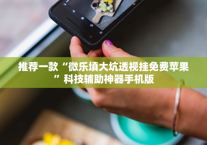 推荐一款“微乐填大坑透视挂免费苹果”科技辅助神器手机版 推荐一款“微乐填大坑透视挂免费苹果”科技辅助神器手机版