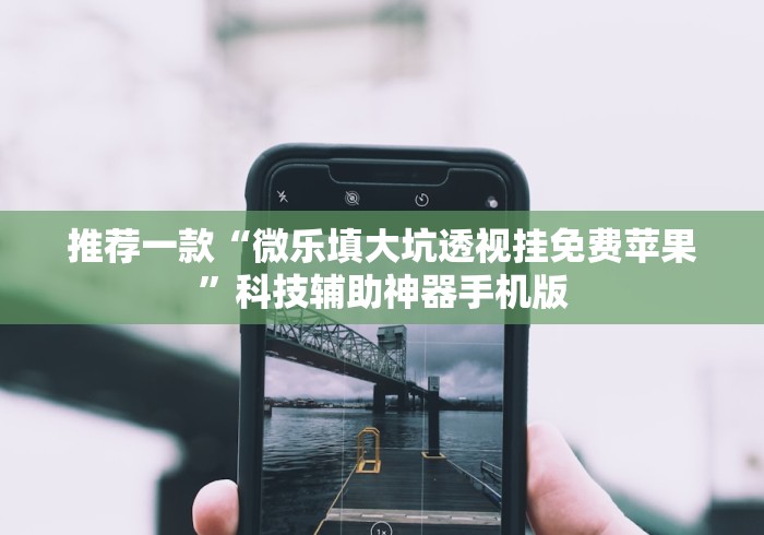 推荐一款“微乐填大坑透视挂免费苹果”科技辅助神器手机版 推荐一款“微乐填大坑透视挂免费苹果”科技辅助神器手机版