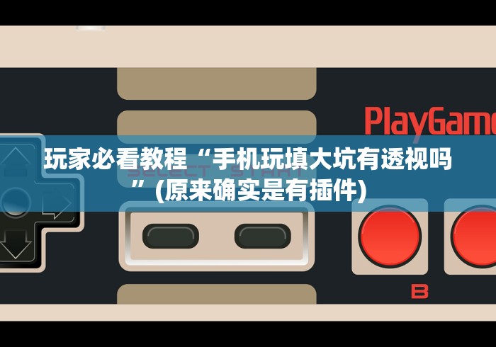 玩家必看教程“手机玩填大坑有透视吗”(原来确实是有插件)