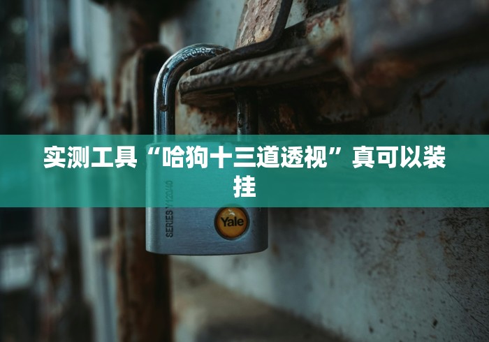 实测工具“哈狗十三道透视”真可以装挂