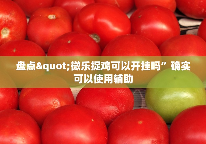 盘点"微乐捉鸡可以开挂吗”确实可以使用辅助