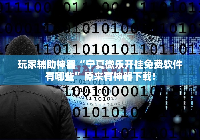 玩家辅助神器“宁夏微乐开挂免费软件有哪些”原来有神器下载!