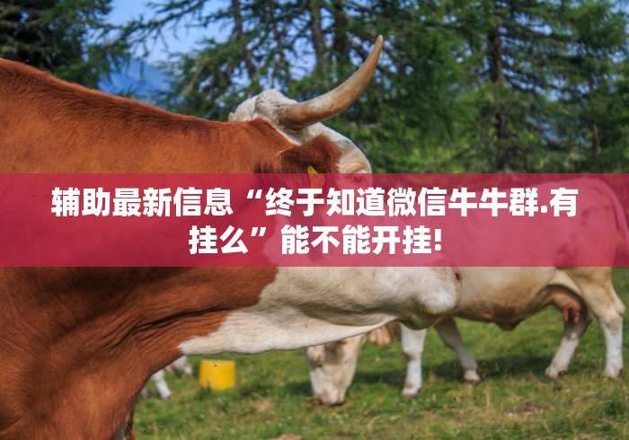 辅助最新信息“终于知道微信牛牛群.有挂么”能不能开挂! 辅助最新信息“终于知道微信牛牛群.有挂么”能不能开挂!