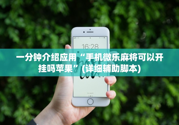 一分钟介绍应用“手机微乐麻将可以开挂吗苹果”(详细辅助脚本) 一分钟介绍应用“手机微乐麻将可以开挂吗苹果”(详细辅助脚本)