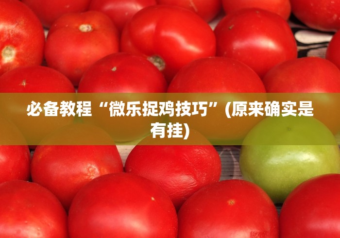 辅助挂机软件“微乐干瞪眼有透视吗怎么玩”附开挂脚本详细教程