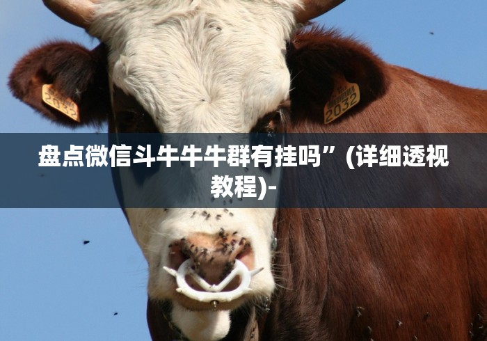 盘点微信斗牛牛牛群有挂吗”(详细透视教程)- 盘点微信斗牛牛牛群有挂吗”(详细透视教程)-