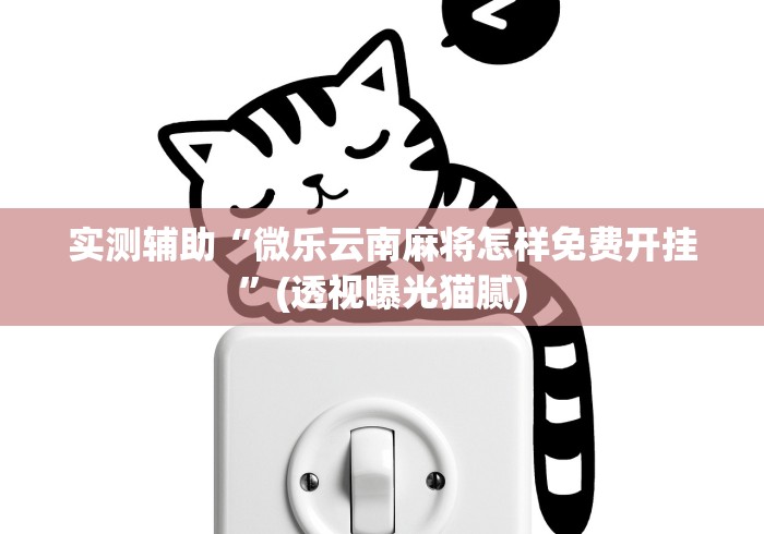 实测辅助“微乐云南麻将怎样免费开挂”(透视曝光猫腻) 实测辅助“微乐云南麻将怎样免费开挂”(透视曝光猫腻)