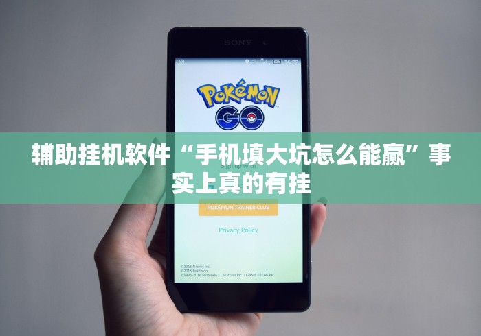 辅助挂机软件“手机填大坑怎么能赢”事实上真的有挂 辅助挂机软件“手机填大坑怎么能赢”事实上真的有挂