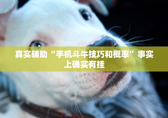 真实辅助“手机斗牛技巧和概率”事实上确实有挂