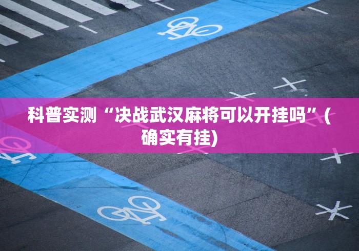 科普实测“决战武汉麻将可以开挂吗”(确实有挂)