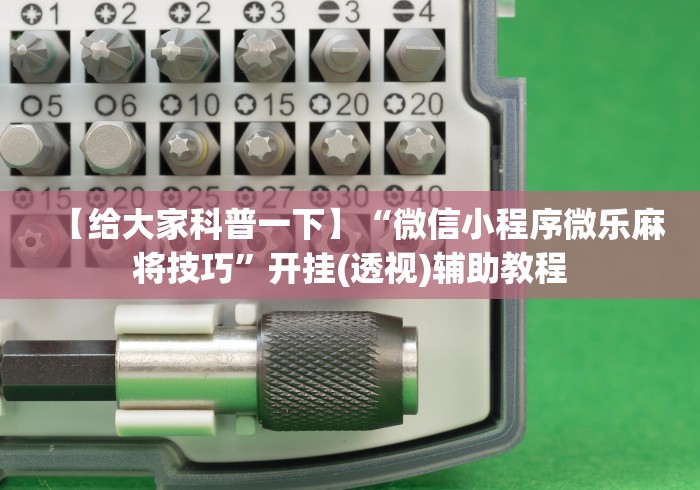 【给大家科普一下】“微信小程序微乐麻将技巧”开挂(透视)辅助教程