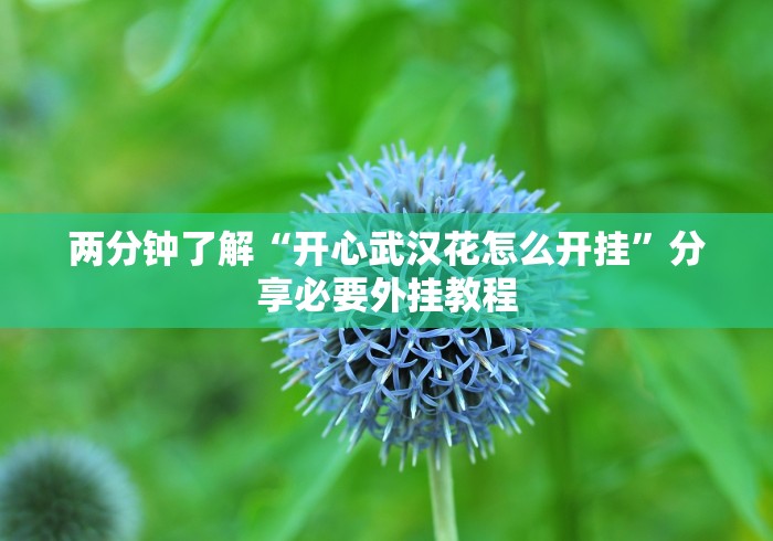 两分钟了解“开心武汉花怎么开挂”分享必要外挂教程