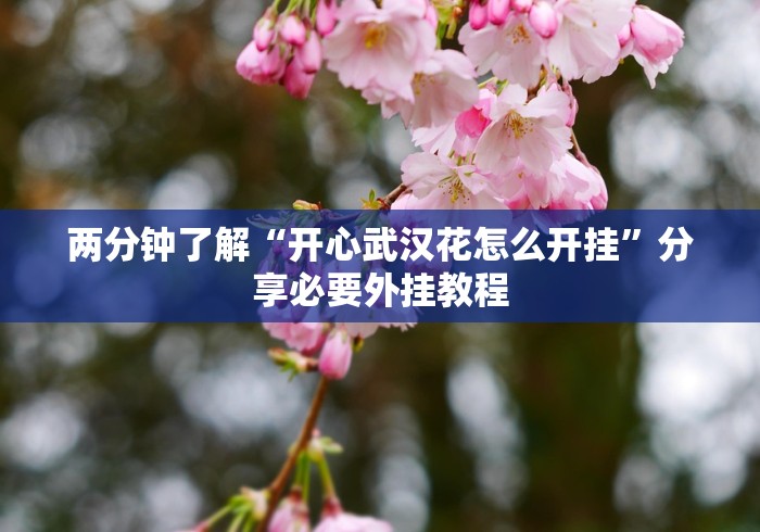 两分钟了解“开心武汉花怎么开挂”分享必要外挂教程 两分钟了解“开心武汉花怎么开挂”分享必要外挂教程