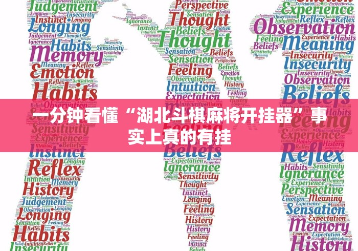 一分钟看懂“湖北斗棋麻将开挂器”事实上真的有挂