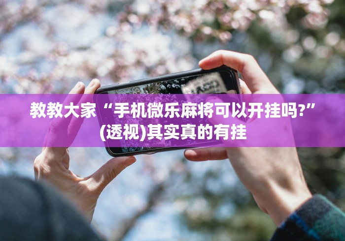 教教大家“手机微乐麻将可以开挂吗?”(透视)其实真的有挂