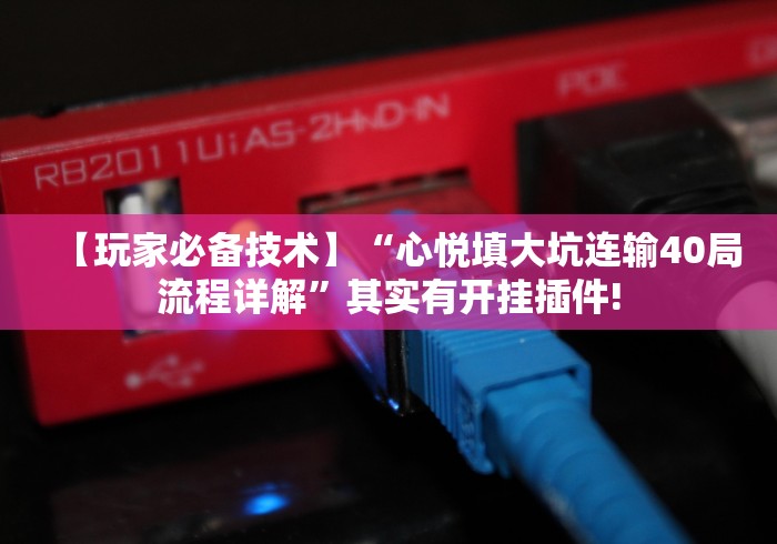 【玩家必备技术】“心悦填大坑连输40局流程详解”其实有开挂插件!