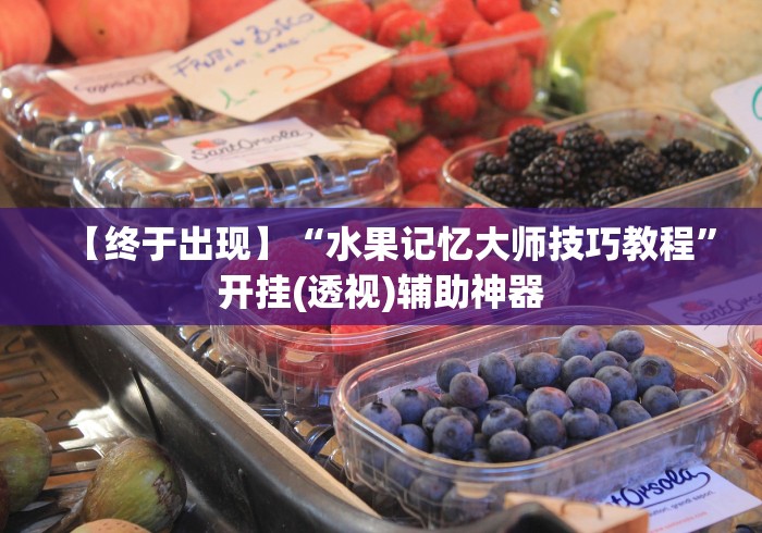 【终于出现】“水果记忆大师技巧教程”开挂(透视)辅助神器