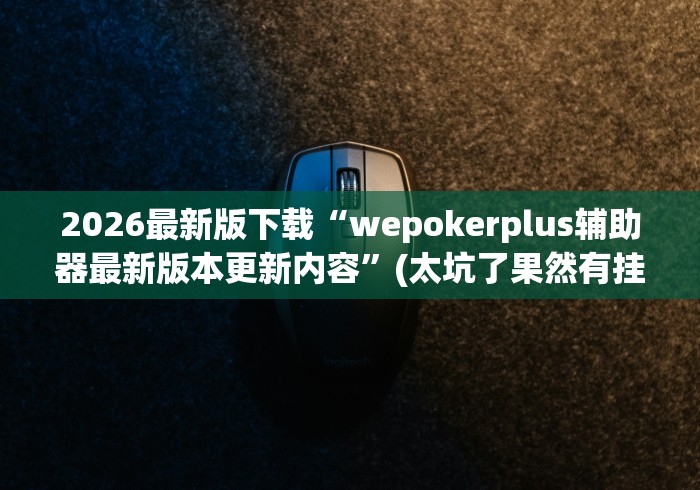 2026最新版下载“wepokerplus辅助器最新版本更新内容”(太坑了果然有挂)