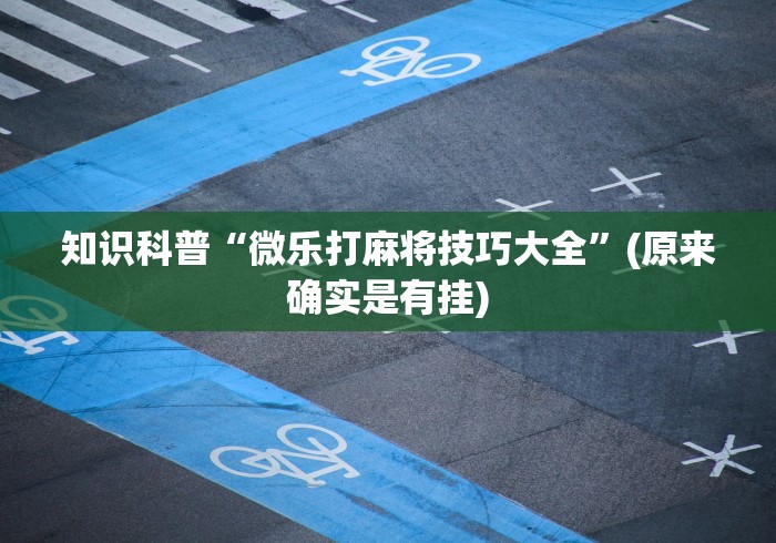 [8秒详论]“微乐麻将万能开挂器苹果版下载”实测确实有挂