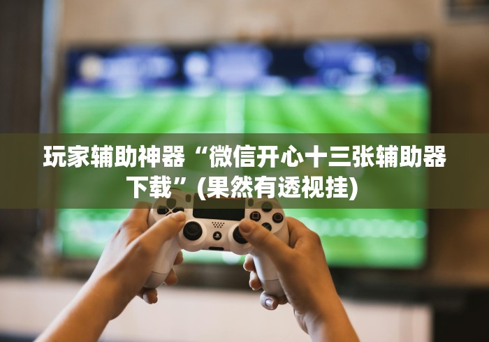 玩家辅助神器“微信开心十三张辅助器下载”(果然有透视挂) 