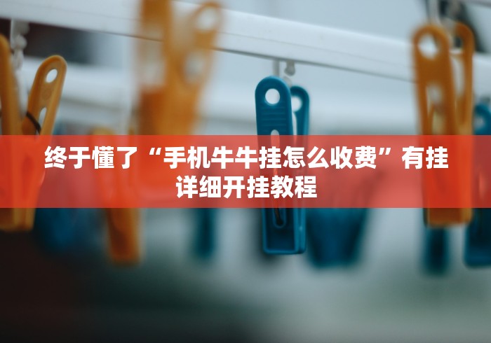 终于懂了“手机牛牛挂怎么收费”有挂详细开挂教程