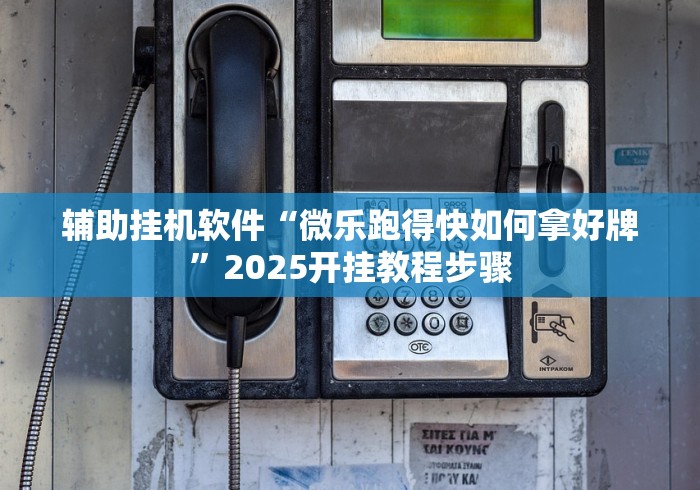 辅助挂机软件“微乐跑得快如何拿好牌”2025开挂教程步骤