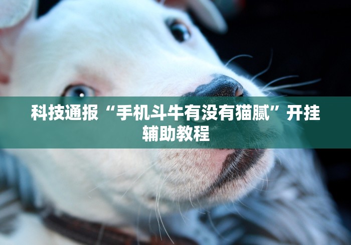 科技通报“手机斗牛有没有猫腻”开挂辅助教程