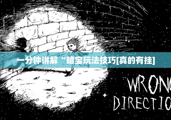 一分钟讲解“暗宝玩法技巧[真的有挂]