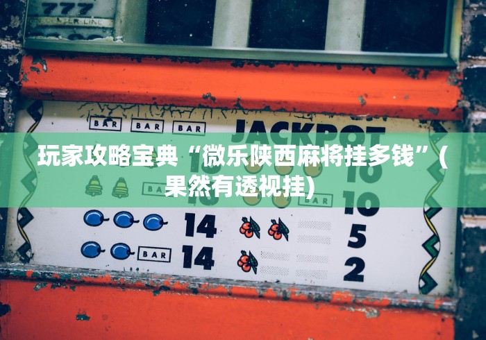 玩家攻略宝典“微乐陕西麻将挂多钱”(果然有透视挂) 