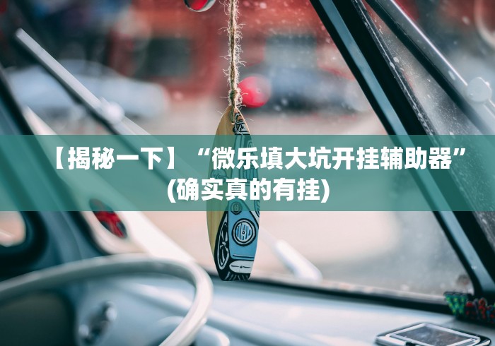 【揭秘一下】“微乐填大坑开挂辅助器”(确实真的有挂)