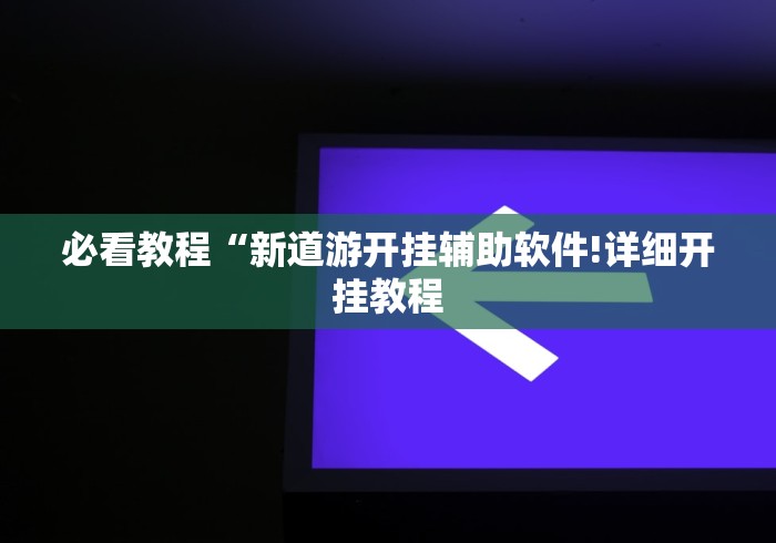 必看教程“新道游开挂辅助软件!详细开挂教程