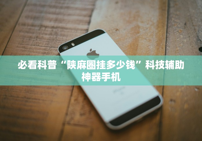 必看科普“陕麻圈挂多少钱”科技辅助神器手机