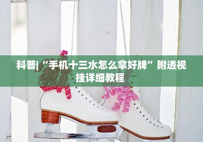 科普|“手机十三水怎么拿好牌”附透视挂详细教程 