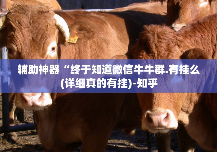 辅助神器“终于知道微信牛牛群.有挂么(详细真的有挂)-知乎