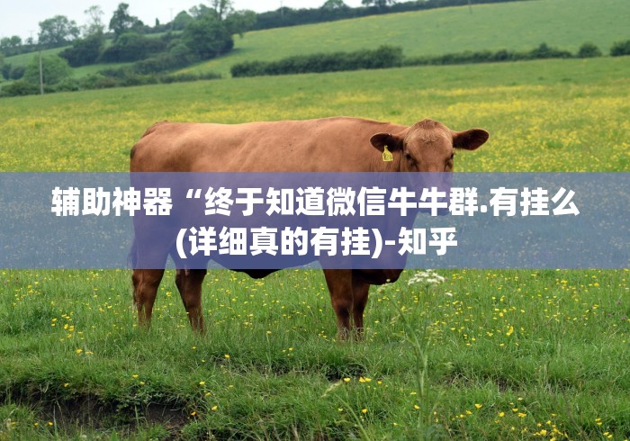 辅助神器“终于知道微信牛牛群.有挂么(详细真的有挂)-知乎