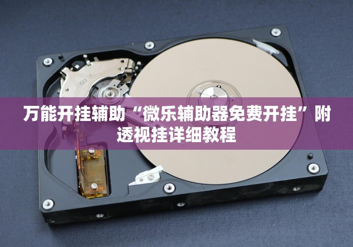 万能开挂辅助“微乐辅助器免费开挂”附透视挂详细教程